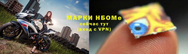 PSILOCYBIN Белокуриха