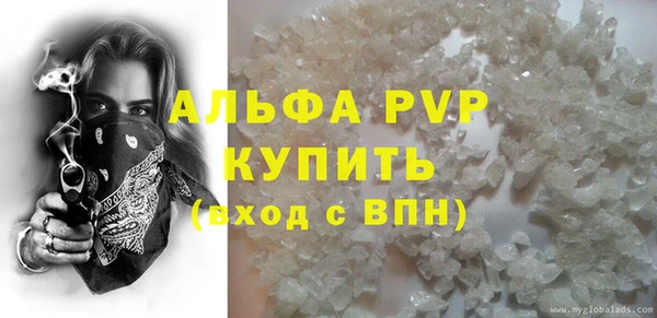 PSILOCYBIN Белокуриха