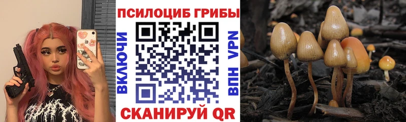 Псилоцибиновые грибы Psilocybe  Велиж 